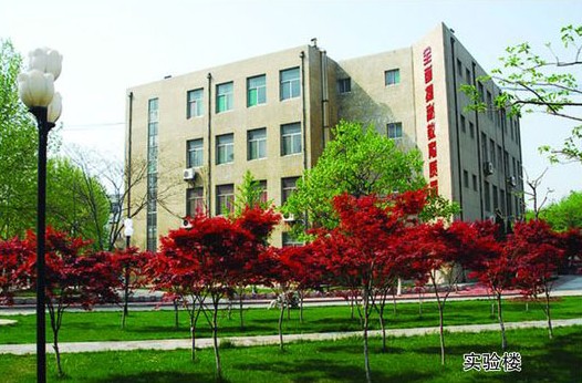 淄博市工業學校開設哪些計算機課程？