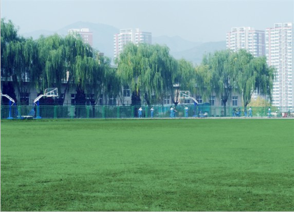 青島滿天星職業培訓學校怎么樣？