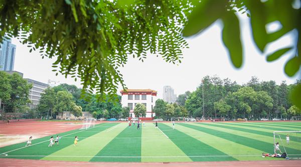 為什么選擇青島滿天星職業培訓學校？