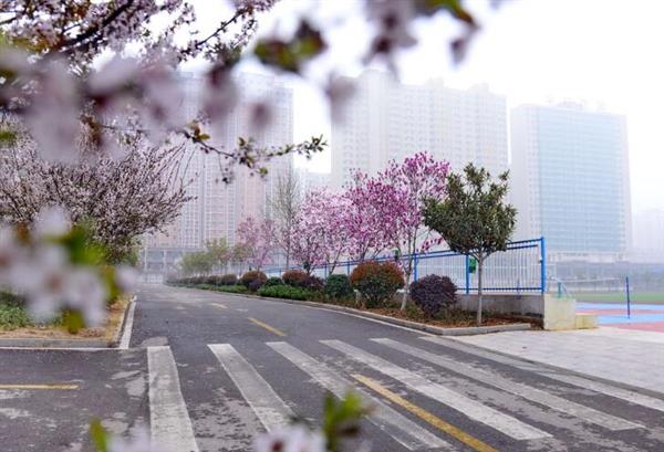 河北大學新世紀函授站成人高考輔導班怎么樣？